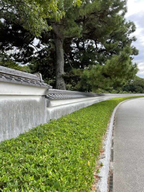 Fukuoka: Good Morning at Ohori Park and Fukuoka Castle Ruins - Practical Information & Experience Details