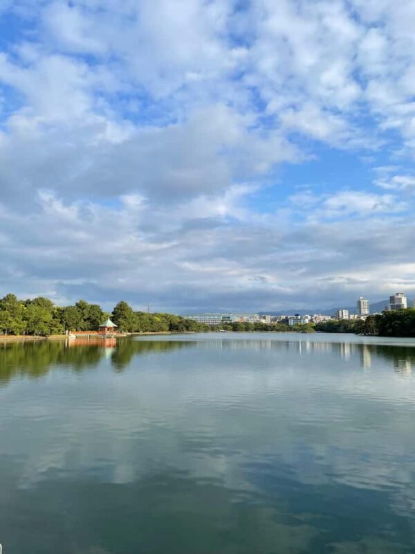 Fukuoka: Good Morning at Ohori Park and Fukuoka Castle Ruins - The Sum Up