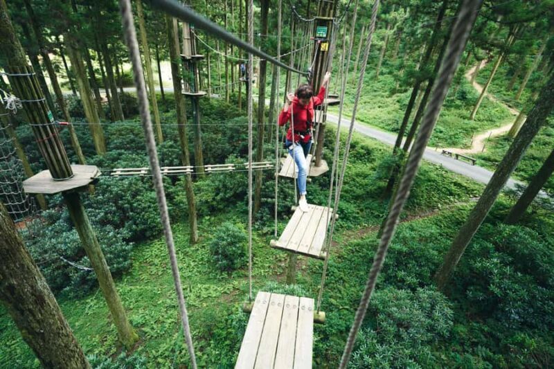 Fukuoka: Guided Walking Tour - Good To Know