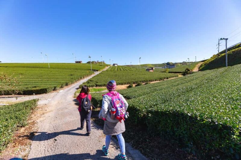 Fukuoka: Guided Walking Tour - Final Thoughts: Is It Worth It?