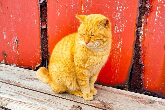 Fukuoka & Hakata Private Tour with Optional Port Pickup - FAQ