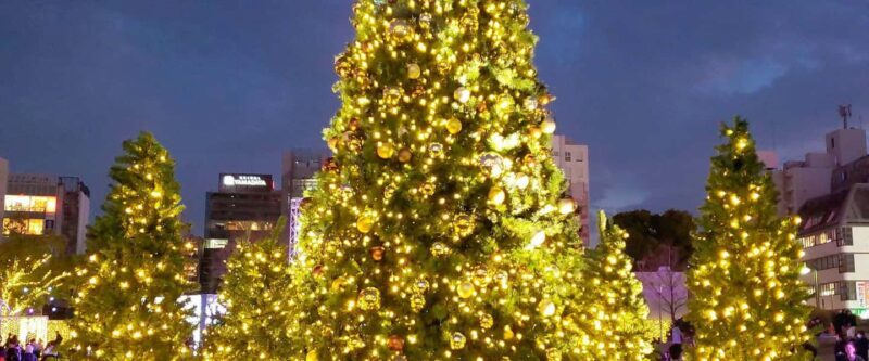 Fukuoka: Hakata & Tenjin Christmas Markets Walking Tour - Good To Know