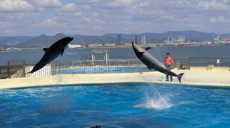 Fukuoka: Hakozaki Shrine, Tocho-ji Temple, & Ohori Park Tour - Exploring Fukuoka’s Heritage and Natural Beauty