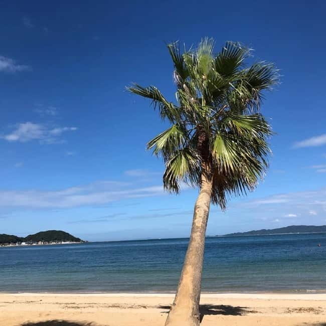 Fukuoka: Hakozaki Shrine, Tocho-ji Temple, & Ohori Park Tour - FAQ