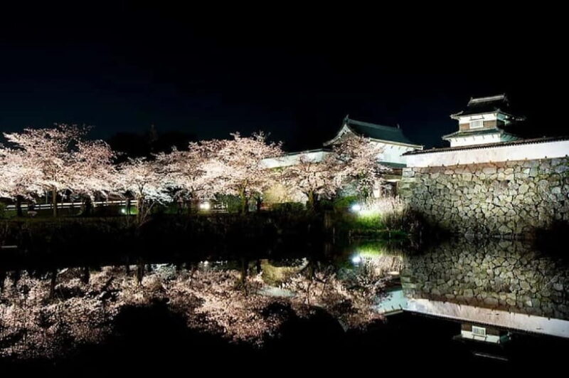 Fukuoka: Hidden History of Zen, Castles & Rebellion Tour - Final Thoughts