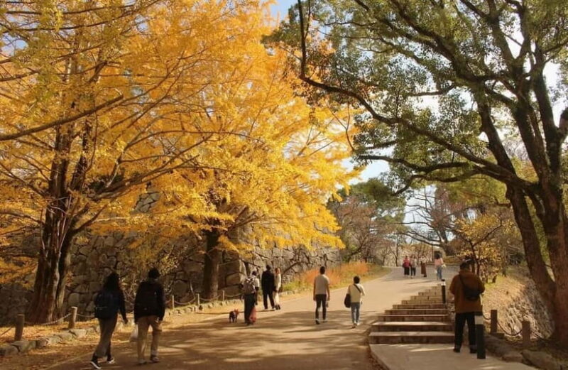 Fukuoka: Hidden History of Zen, Castles & Rebellion Tour - Good To Know