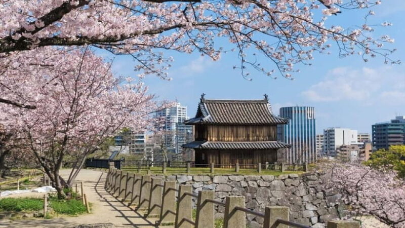 Fukuoka: Hidden History of Zen, Castles & Rebellion Tour - Fukuoka Castle and the Hidden Passages