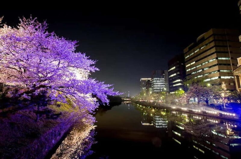 Fukuoka: Hidden History of Zen, Castles & Rebellion Tour - What’s Included and What to Consider