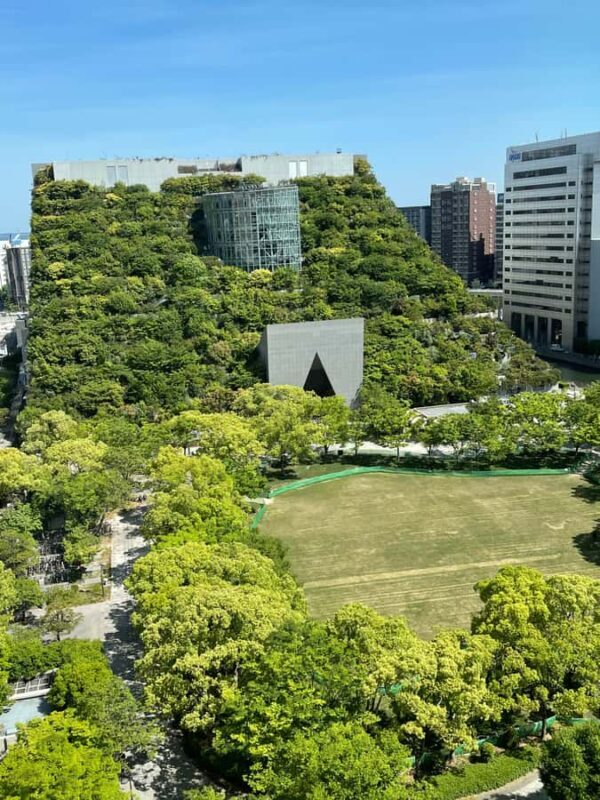 Fukuoka: Historic Architecture and Walking Tour - Good To Know