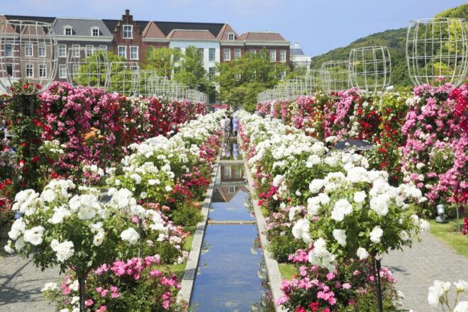 Fukuoka: Huis Ten Bosch Theme Park Ticket With Transfers - Voucher Delivery and Activity Price