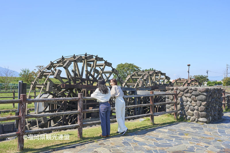 Fukuoka Iconic Cherry Blossom Spots Full-Day Tour - Several blossom spots in one day