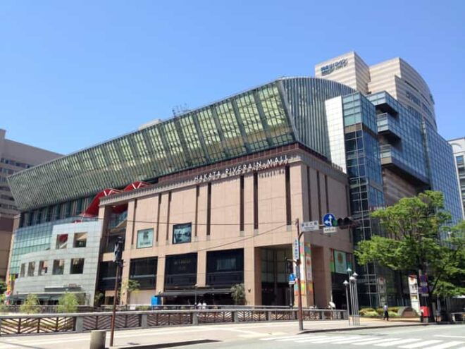 Fukuoka: Independent Curators Tour to the Asian Art Museum - Tour Experience