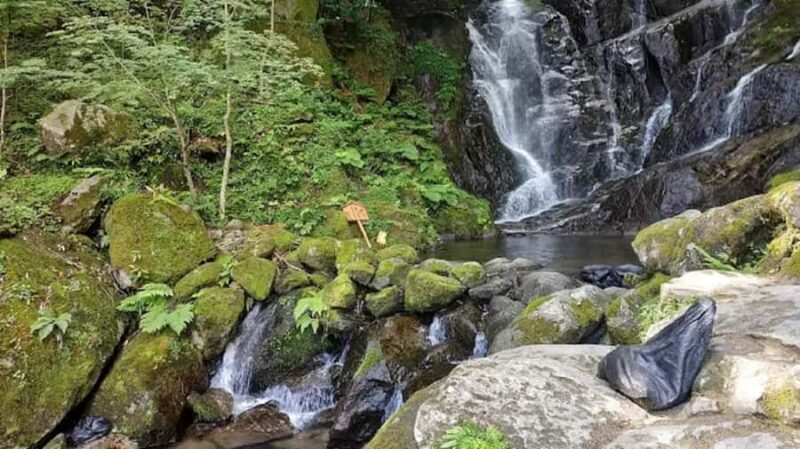 Fukuoka: Itoshima Adventure & Wellness Private Day Trip - An In-Depth Look at the Itoshima Private Day Trip