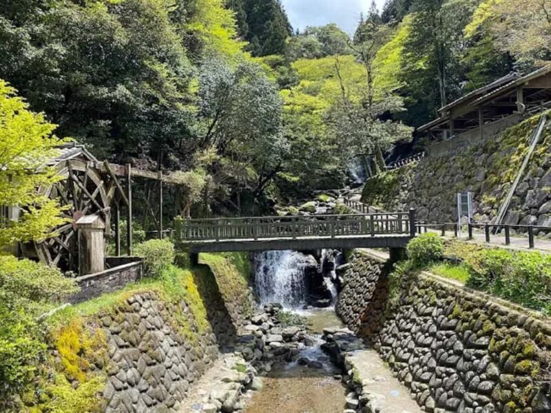 Fukuoka: Itoshima Adventure & Wellness Private Day Trip - Practical Tips & Considerations