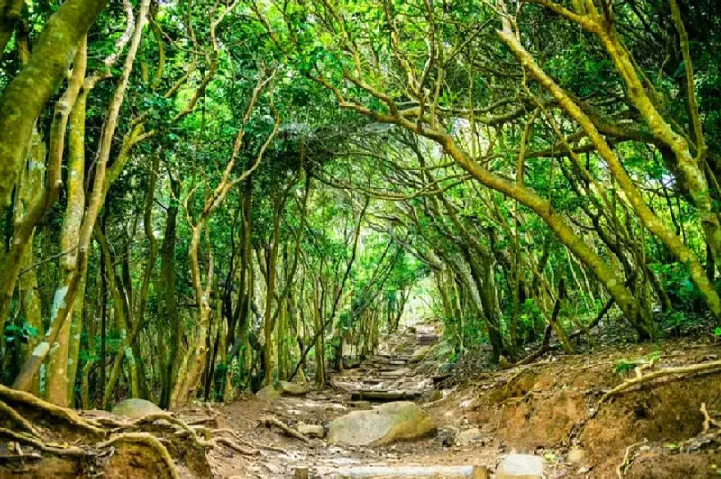 Fukuoka Itoshima Coast & Raizan Sennyoji Temple Day Trip - Should you book it?