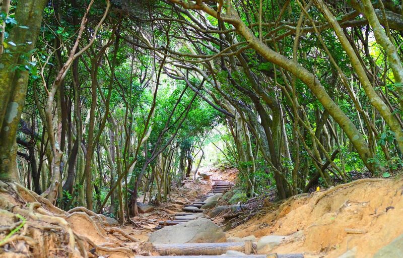 Fukuoka Itoshima Day Trip, Japan | Shiraito Falls, Ichiran Forest, Totoro Forest, and Instagram-worthy Spots (Chinese/English/Cantonese Guide) - Raizan Sennyo-ji: an old temple and a famous maple