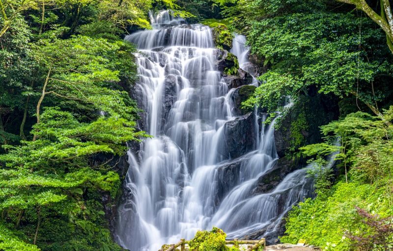 Fukuoka Itoshima Day Trip, Japan | Shiraito Falls, Ichiran Forest, Totoro Forest, and Instagram-worthy Spots (Chinese/English/Cantonese Guide) - Palm Tree Swing: a final beach-side photo stop