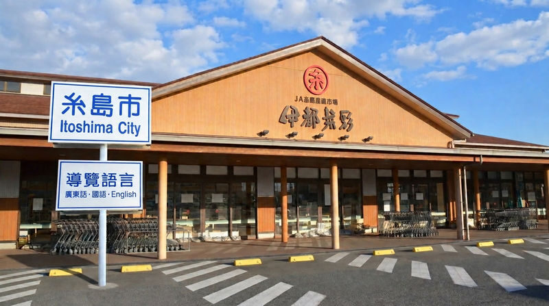 Fukuoka Itoshima Full-Day Hidden Gems & Food Tour - Seafood, pudding and a lunch decision