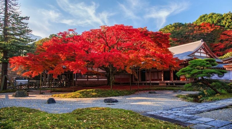 Fukuoka Itoshima Full-Day Hidden Gems & Food Tour - Is $44.20 good value?