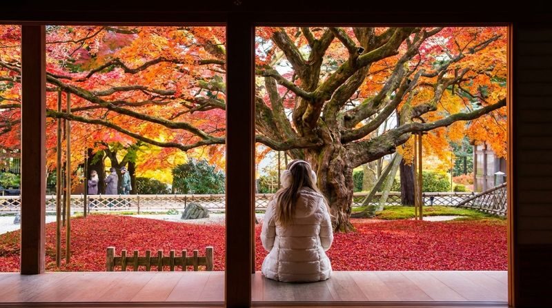 Fukuoka Itoshima Full-Day Hidden Gems & Food Tour - Weather, timing and booking terms