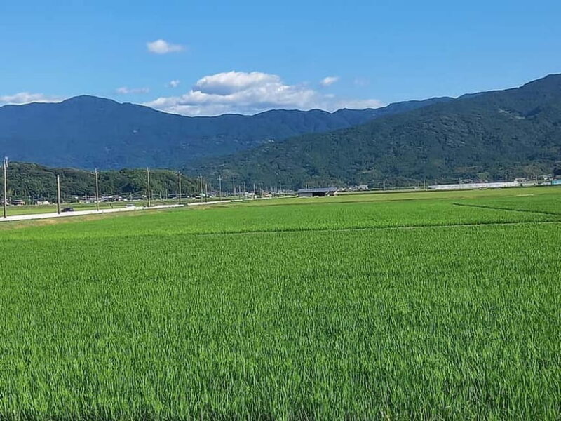 Fukuoka: Itoshima, Karatsu Castle & Shrines Private Tour - FAQ