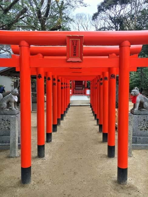 Fukuoka: Itoshima, Karatsu Castle & Shrines Private Tour - Who Will Love This Tour?