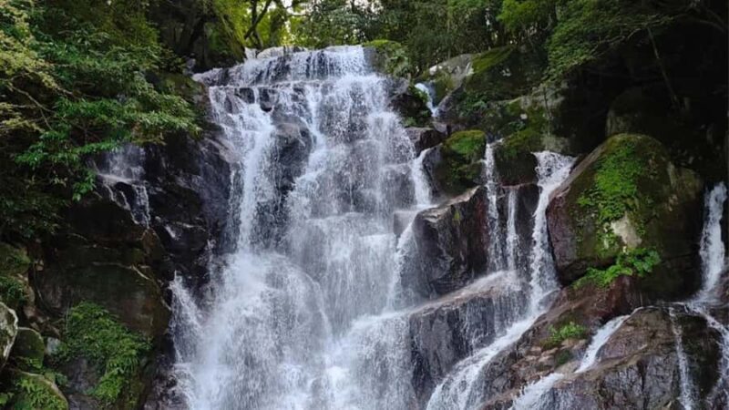 Fukuoka: Itoshima Waterfall, Ramen, and Fukuoka Tower Tour - The Enchanting Totoro Forest Trail and Coastal Views