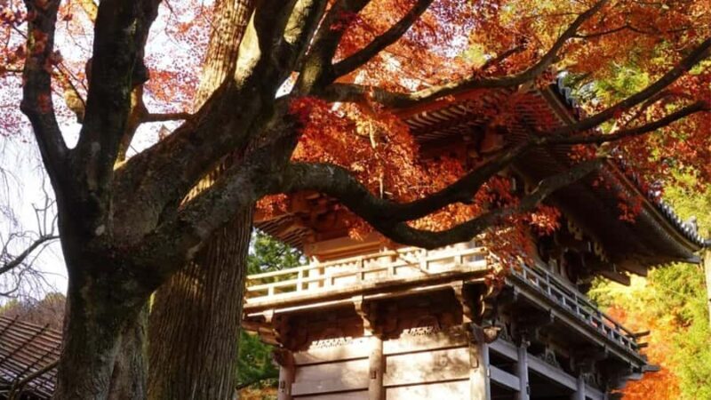 Fukuoka: Itoshima Waterfall, Ramen, and Fukuoka Tower Tour - Sacred Moments at Sakurai Futamigaura