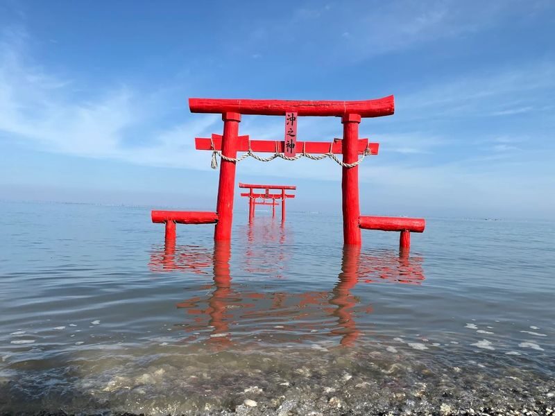 Fukuoka Kanzakibana & Saga Castle Full-Day Tour with Visit Certificate - Saga Castle: a cultural change of pace