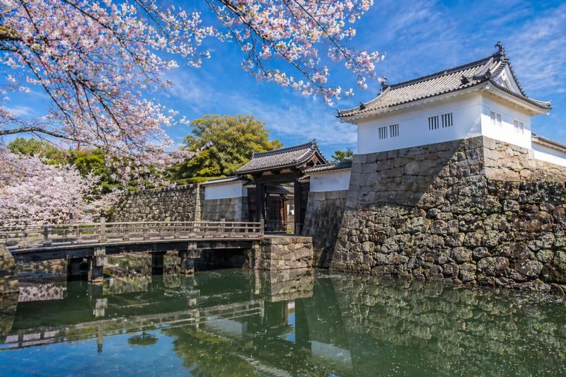 Fukuoka Kanzakibana & Saga Castle Full-Day Tour with Visit Certificate - What to check before you book