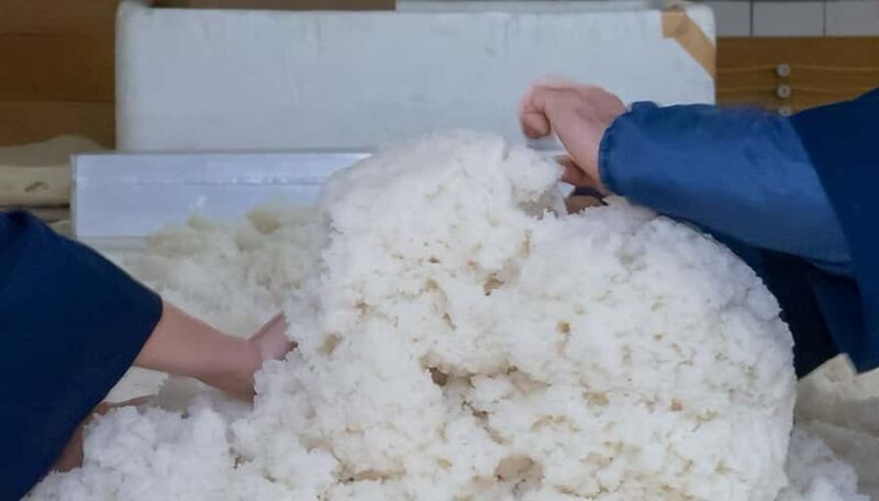 Fukuoka: Kobayashi Shuzo Honten Sake Brewery Tour - Final Thoughts