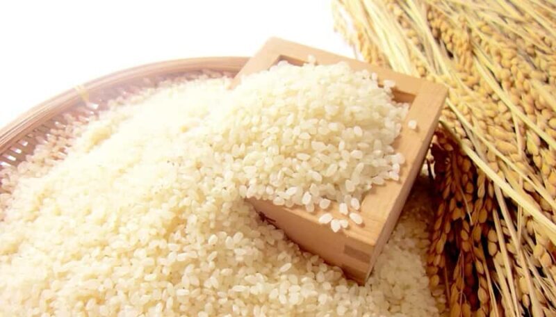 Fukuoka: Kobayashi Shuzo Honten Sake Brewery Tour - FAQs