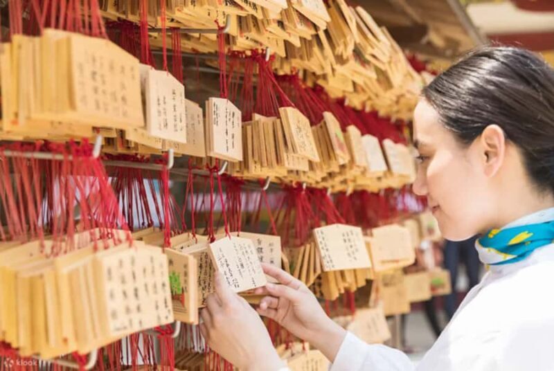 Fukuoka: Kumamoto Castle, Volcano, and Grasslands Day Trip - Who Should Book This Tour?