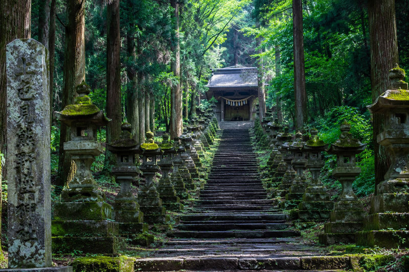Fukuoka Kyushu Full-Day Private Charter Experience - Is $94.65 good value?