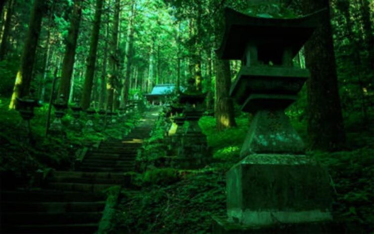 Fukuoka: Kyushu Mt. Aso One Day Tour - Good To Know