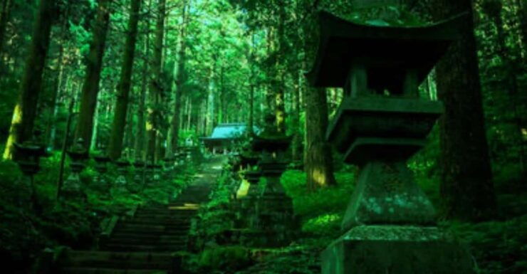 Fukuoka: Kyushu, Mt. Aso & Surrounding Attractions Day Tour - Good To Know