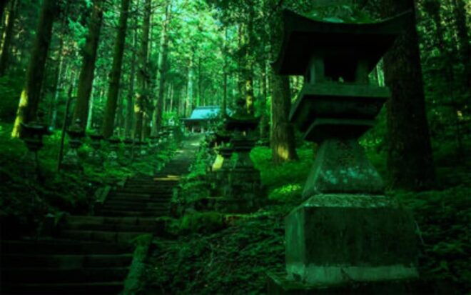 Fukuoka: Kyushu, Mt. Aso & Surrounding Attractions Day Tour - Key Attractions