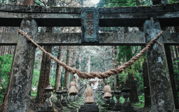 Fukuoka: Kyushu, Mt. Aso & Surrounding Attractions Day Tour - Customer Experiences