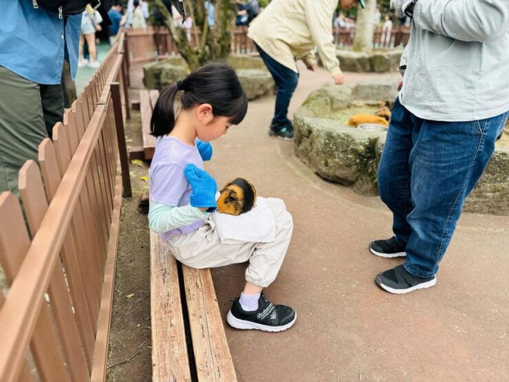 Fukuoka: Kyushu Natural Animal Park & Yufuin One Day Tour - Itinerary Highlights