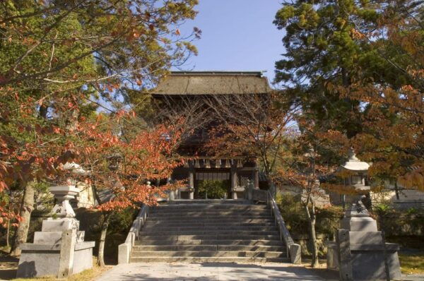 Fukuoka: Miyajidake Shrine & Kashii Shrine Private Tour - Frequently Asked Questions