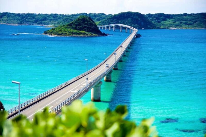 Fukuoka: Mojiko, Karato, Tsunoshima Bridge Day Trip - Fukuoka: Mojiko, Karato, Tsunoshima Bridge Day Trip — A Complete Review