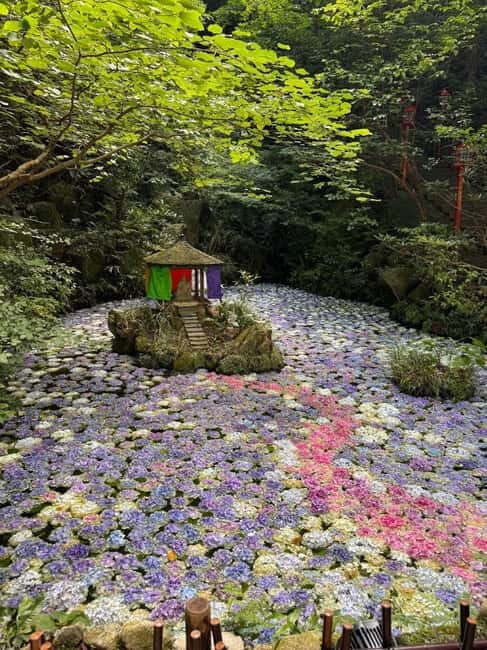 Fukuoka: Morning Serenity Guided Walking Tour - Why This Tour Offers Real Value