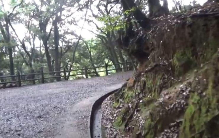 FUKUOKA : MOUNT TENPAI TREKKING TOUR - Good To Know