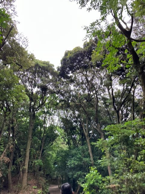 FUKUOKA : MOUNT TENPAI TREKKING TOUR - Tour Inclusions