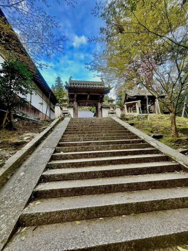 Fukuoka: Mt. Aso Volcano Walk & Kusasenri Horseback Ride - The Sum Up: Is it worth it?