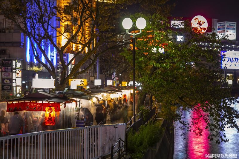 Fukuoka Nakagawa River Night Cruise & Street Food Tour - Is US$126.15 good value?