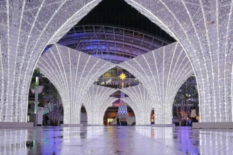 Fukuoka: Nanzoin Temple and Dazaifu Day Trip with Lunch - Exploring the Highlights of the Tour