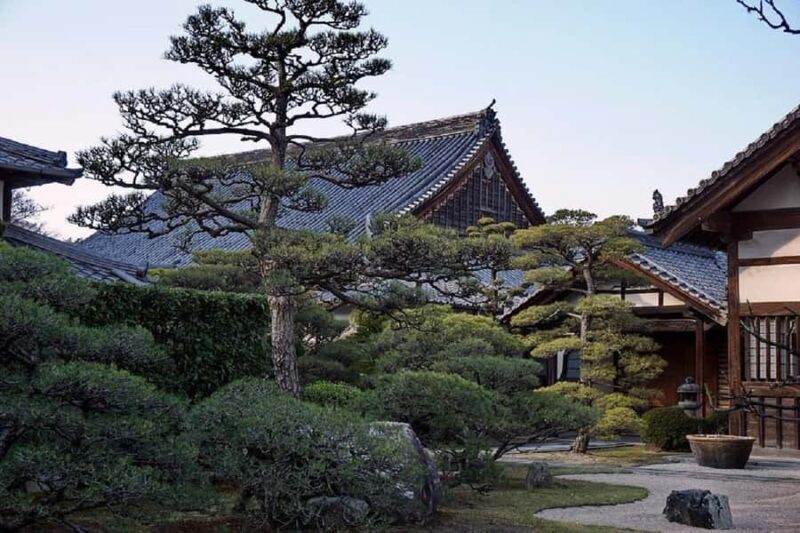 Fukuoka: Nanzoin Temple and Great Buddha Tour - Who Should Consider This Tour?