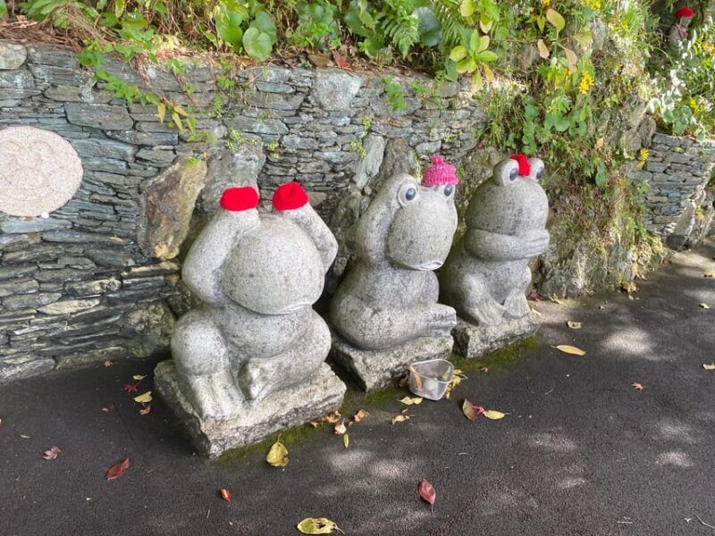 Fukuoka: Nanzoin Temple and Reclining Buddha Guided Tour - A Detailed Look at the Tour Experience