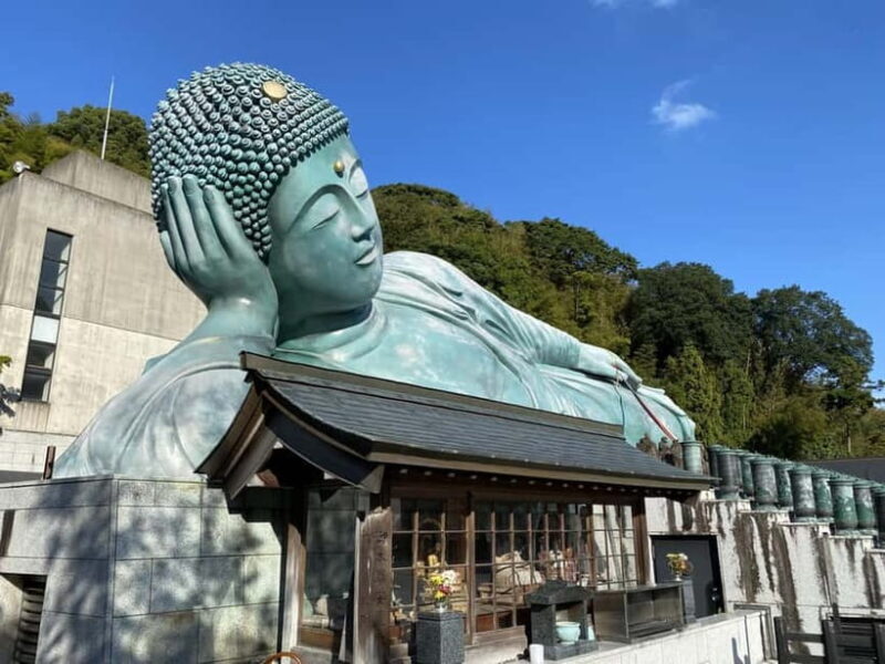 Fukuoka: Nanzoin Temple & Reclining Buddha Guided Tour - Who is This Tour Best For?